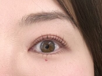 ウルカ アイラッシュ(uruka EYELASH)/ラッシュリフト