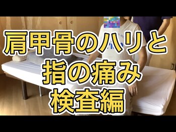 リラクゼーションカイロ ふくろう/肩甲骨のハリやコリの動画です♪