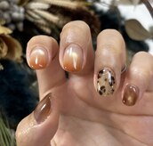 ネオメニア(Neomenia)