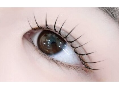 eyelash Alaia【アイラッシュアライア】の写真