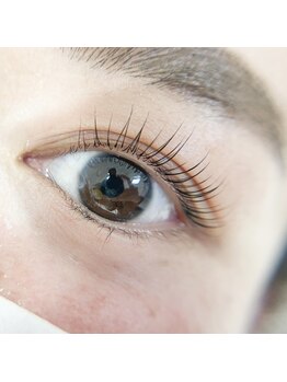 リンク(LINK)/上まつげパーマ