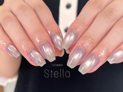 ステラ(stella)の写真