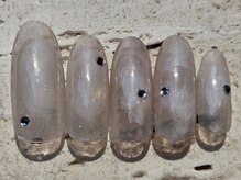 プロモート 岡山城下店(Promote)/抜け感ニュアンスネイル【岡山】