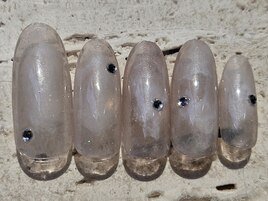 抜け感ニュアンスネイル【岡山】