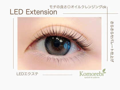 コモレビ(Komorebi)の写真