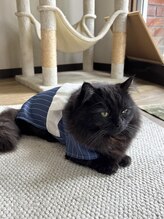 晴々&nbsp;猫従業員 おこげ