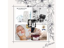 ミモザ(Mimosa)の雰囲気（6つのフェイシャルからご自身にあったメニューをご提案致します）