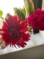 テマモリ(temamori) 花のある暮らしに挑戦中。毎日欠かさず飾っています!