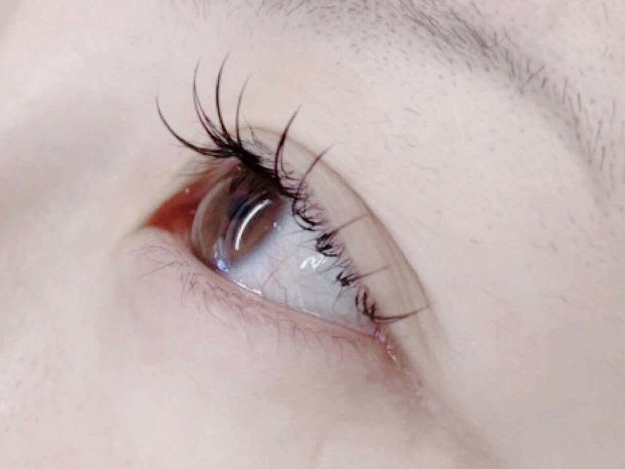 Jrアイリスト限定クーポン【フラットラッシュ80〜100本】￥3500