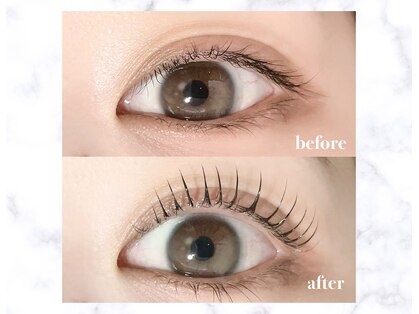 キセキ(KISEKI)の写真