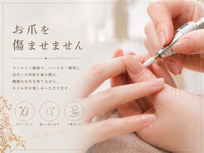 シャール(shall)の写真