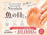 オープン記念価格 【魚の目たこ!繰り返さない!】