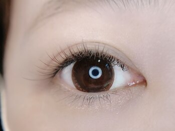 チルシー(Chilsea)/ダイアナラッシュ80束 カラー