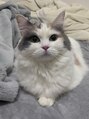 アレス 狛江店(ales) お家で飼ってるマリブです^^甘えん坊でおしゃべりさん♪