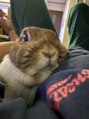 ラムーン(La.Moon)&nbsp;ウサギと猫を飼っています。