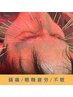 【目の奥スッキリ！脳まで癒す極上ケア】頸部鍼＋頭皮鍼＋CBDヘッドスパ　