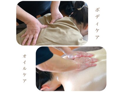 癒しの森の写真