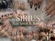 シリウス(SIRIUS)の写真