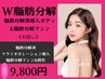 ★期間限定★【W脂肪分解】ボディ脂肪分解マシン+分解溶液導入+吸引