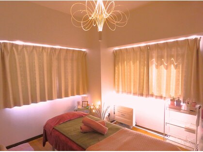 パピヨン(Papillon)の写真