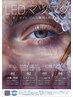 【まつエク/人気NO1】LED90分つけ放題◎濃さ×モチ重視　￥8500→￥8000