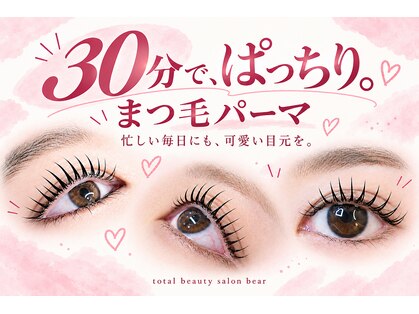 ベア(bear)の写真