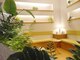 ナチュラルガーデン 阪急西宮ガーデンズ店(Natural Garden)の写真/【低価格×完全個室】周りを気にせず心も体も癒してくれる♪１人１人に合った施術でお体の不調を改善へ★