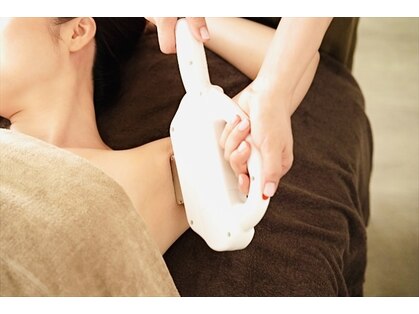 シェリラ(cherela)の写真