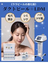 ルリアン(LeLien)/人気《No.1》ダクトピール＋LDM