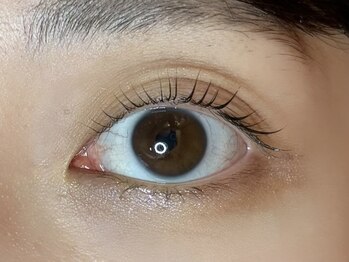 アトリエ ハーロウ(ATELIER HARLOW)/まつげパーマ/マツエク/眉毛