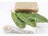 内臓疲労に『無農薬ビワの葉こんにゃく湿布』60分　ヘッドor足リフレ20分つき