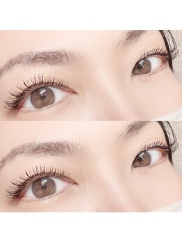 フーフロー(Fooflow)/パ-フェクトラッシュ80束