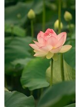 ほぐしやさん 陣中店&nbsp;築山 (女性)