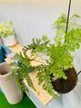 ヴェール(Vert) いとしい...