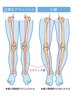 〈骨盤・足の悩み集中矯正〉骨盤～O脚、足の骨格カイロプラクティック 　