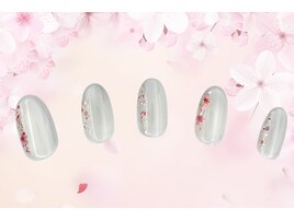 定額パールコース