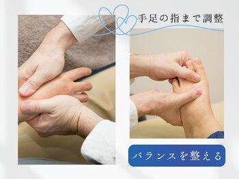 オルタナ/全身関節調整