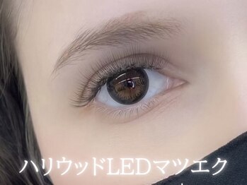 アイデュース 羽広店(eyeduce)/ハリウッドLED 6D 240本