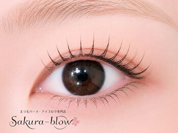 サクラブロウ 天王寺店(Sakura-blow)の写真/[天王寺/上下まつげパーマ/パリジェンヌ]スピーディ×高品質×リーズナブル☆華やかさUPで視線釘づけ！