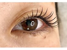 エスペシアル(Especial)/カラーフラットラッシュ