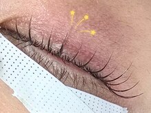 コトタリルの雰囲気（まつげは私にお任せください～！）