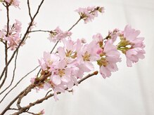 距骨サロン 渋谷道玄坂店/季節の飾り