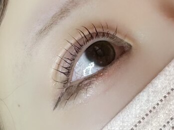 アトリエ ハーロウ(ATELIER HARLOW)/まつげパーマ/マツエク/眉毛