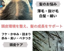エスカペリ(s_capelli)