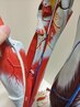 《階段の昇り降りが辛い》膝・股関節の違和感に◎歩行指導＋整体コース60分