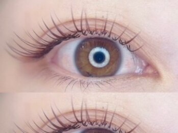 レグラッシュ バイ クレアール(Reg Lash by CREAR)の写真/【大人気！フラットマットラッシュもご用意♪】モチが気になる方、自まつ毛の負担が気になる方にオススメ★