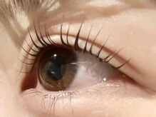 イデアル(ideal)/まつ毛パーマ