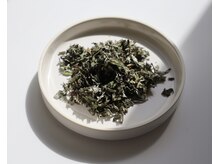 ヨガスタジオ ルタ(Yoga Studio rtam)/国産よもぎ