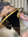 マイスター 匠 栄矢場町店/マイスター匠