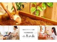小鳥の森 中目黒
